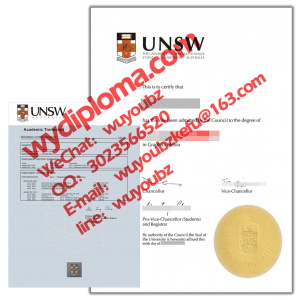 Diploma from university of new south wales 新南威尔士大学文凭